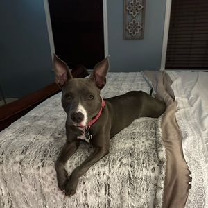 Meet your Posher, Laura